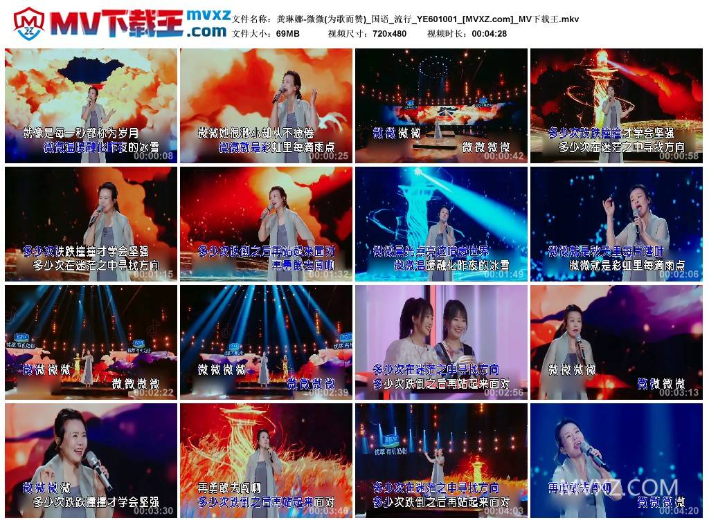 龚琳娜-微微(为歌而赞)_国语_流行_YE601001